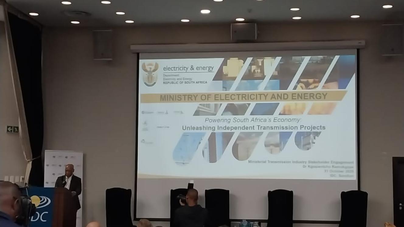 Minister of Electricity and Energy, Kgosientsho Ramokgopa. 