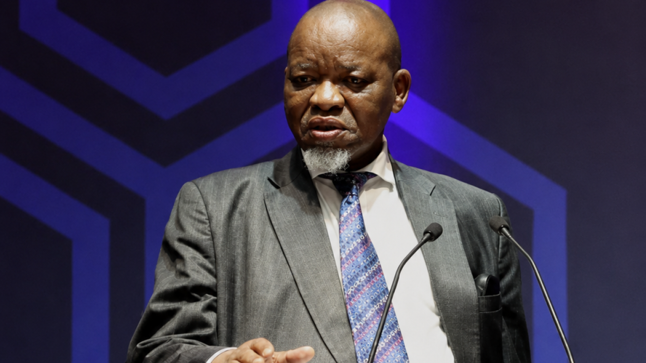 Mineral and Petroleum Resources Minister Gwede Mantashe at the Fuels Industry Association of South Africa Annual Imbizo in Sandton.